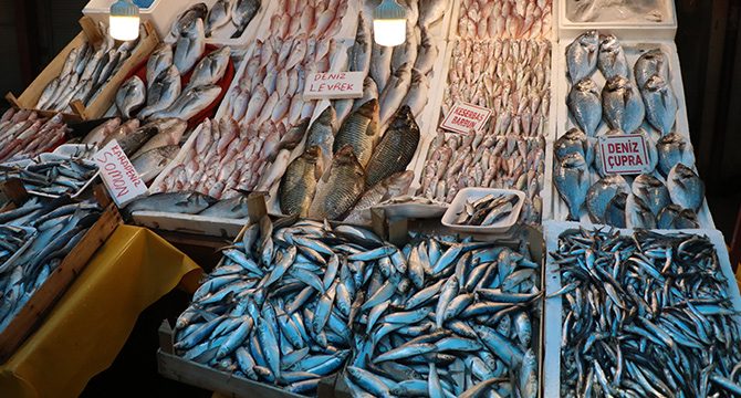 Tezgahlar balıkla doldu taştı: Fiyatlar yarı yarıya düştü