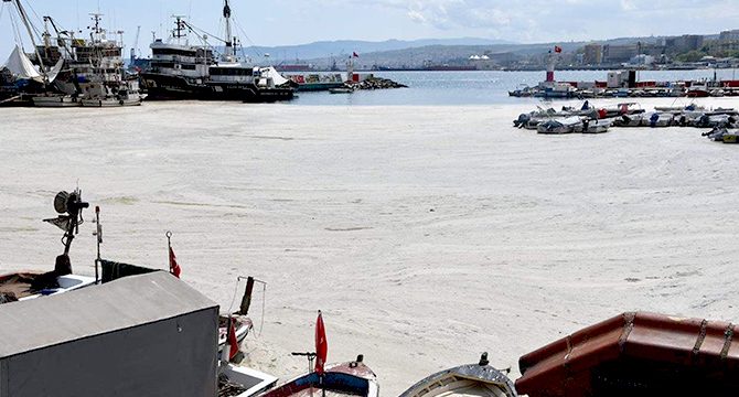 Marmara için korkutan uyarı: Koşullar devam ettikçe müsilaj tehlikesi var