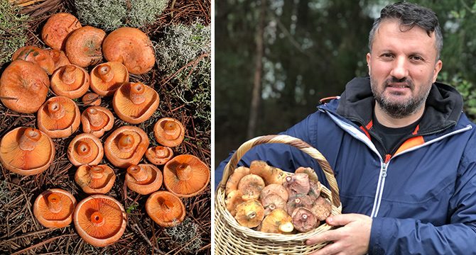Uzmanından uyarı: Yanlış bilgiler mantar zehirlenmesine sebep oluyor