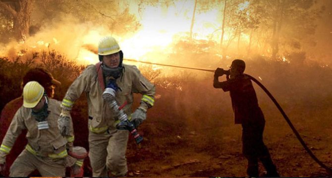 Türkiye'deki orman yangınlarında rekor kırıldı