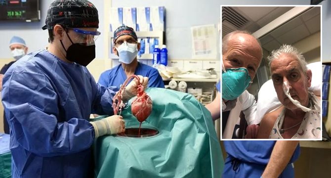 Bilim dünyasında bir ilk: Domuzdan insana kalp nakli