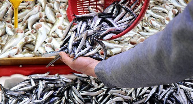 Olumsuz hava balıkçıları vurdu: Fiyatlar yükseldi