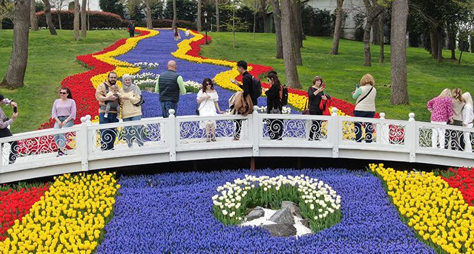 İstanbul'da lale şöleni: Emirgan Parkı rengarenk çiçeklerle güzelleşti