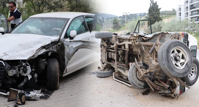 Otomobile giren böcek kazaya neden oldu