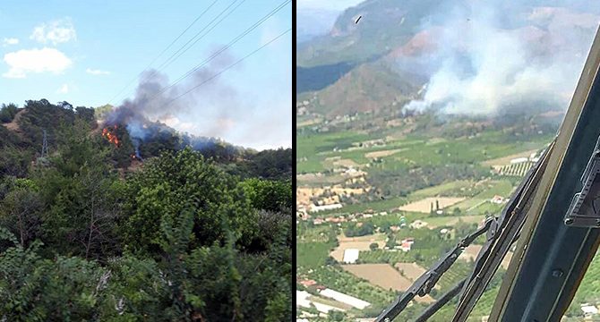 Muğla'da orman yangını