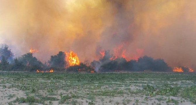 Manisa'da 17 saatte söndürülen orman yangınıyla ilgili 2 gözaltı