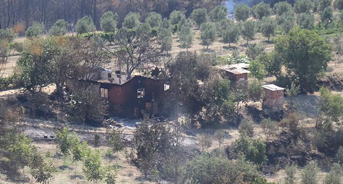 Manisa'daki orman yangınıyla ilgili 2 kişi tutuklandı