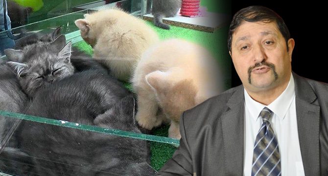 Petshop'ların Kasaplar Odası'na bağlanması tartışma yarattı