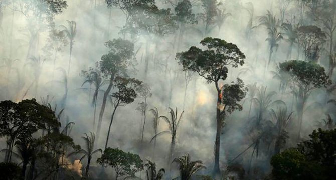 Amazonlar'da ormansızlaşma rekor kırdı