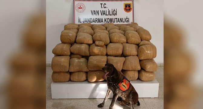 21 çuvalda 700 kilogram esrar ele geçirildi