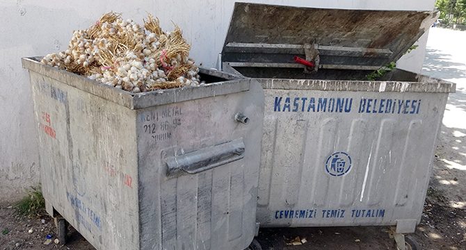 Kilolarca Taşköprü sarımsağını çöp konteynerine attılar