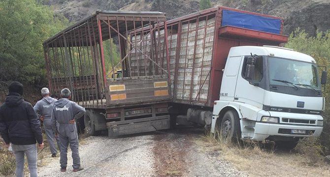 Bolu'da kayan kamyondan atlayan sürücü öldü