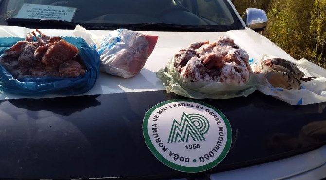 Keklik avlayan kişiye 24 bin lira ceza kesildi