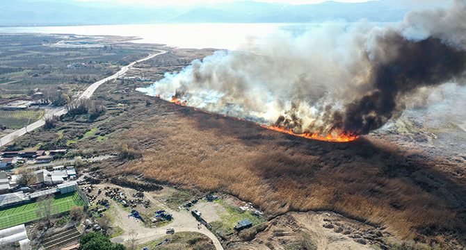 İznik Gölü kıyısındaki sazlık alanda yangın çıktı