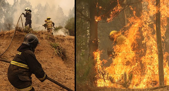 Şili'de orman yangını: 23 ölü, 979 yaralı