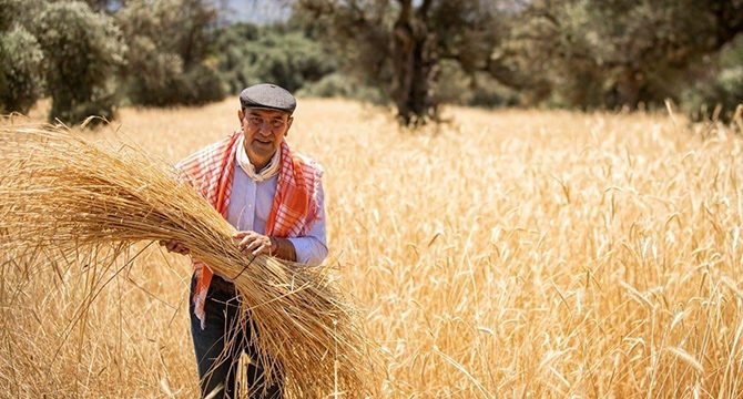 Soyer'den çiftçilere karakılçık buğdayı için fiyat müjdesi