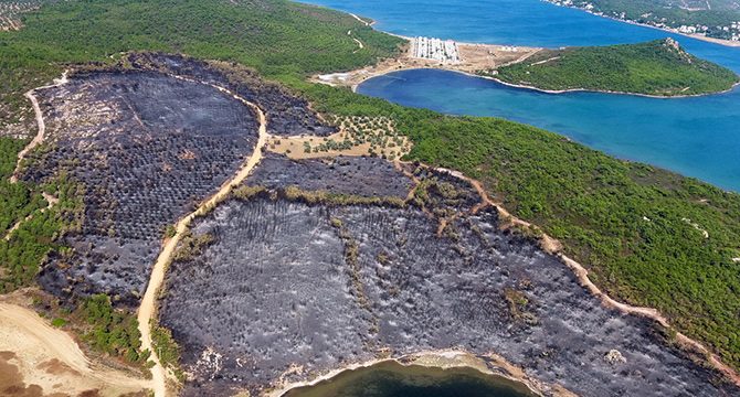 20 günde 295 orman yangını çıktı! Acı bilanço netleşti
