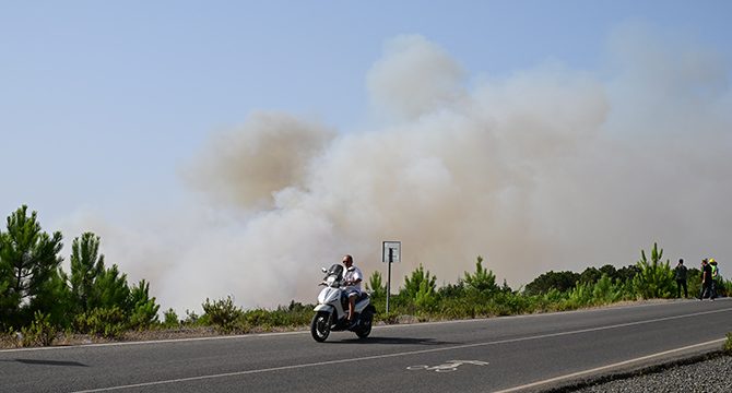 Beykoz'da orman yangını