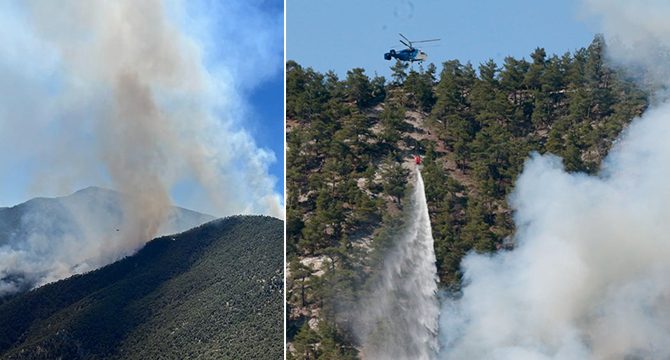 Bolu'da orman yangınına müdahale sürüyor