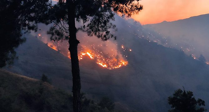 Kahramanmaraş'ta 14 saat süren yangının bilançosu açıklandı