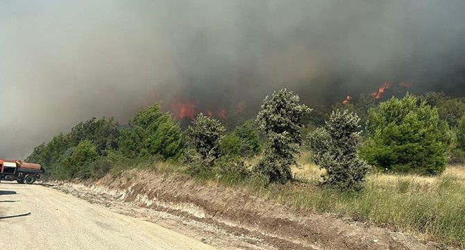 Manisa'daki orman yangınında 2'nci gün