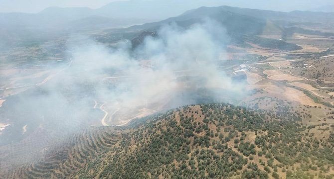 İzmir'de tarlada çıkan yangın, ormana sıçradı
