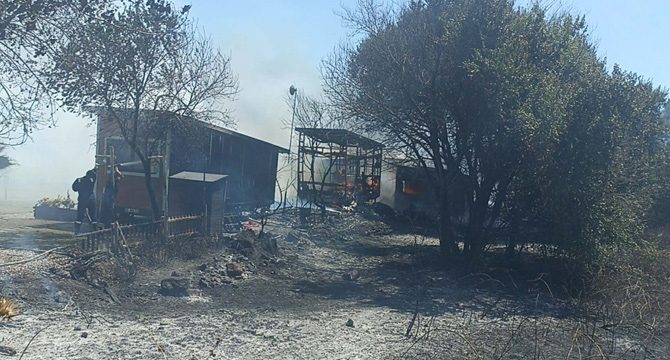 Bodrum'da yangın çıktı: Tiny house'lar küle döndü