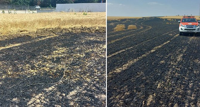 Tekirdağ'da tarla yangını: 15 dönüm buğday ekili alan kül oldu
