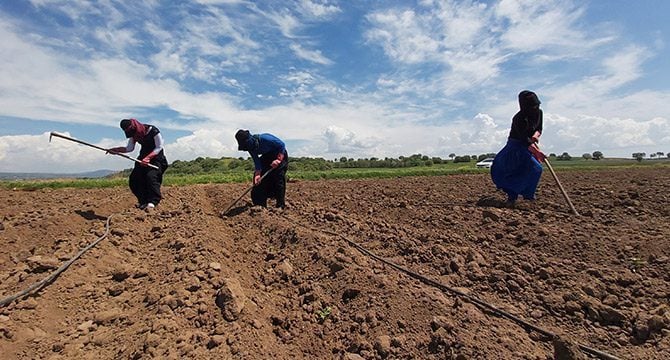 Tarım ürünlerindeki fiyat artışı yüzde 110,72 oldu!