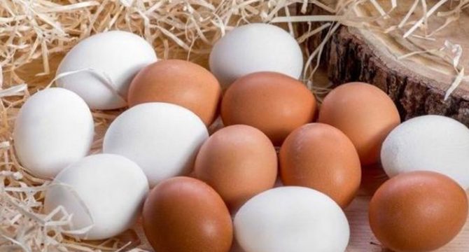 TÜİK: Mayıs ayında yumurta üretimi düştü