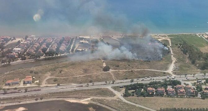 İzmir'de sazlık yangını