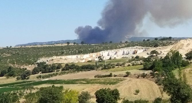 Bursa'da orman yangını