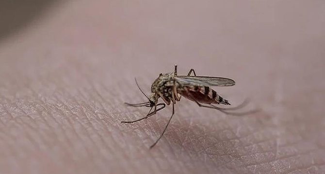 Evinizi sakın bu renge boyamayın! Uzmanı çok kritik uyarıyı yaptı