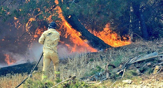 Çanakkale'deki orman yangınında 3'üncü gün