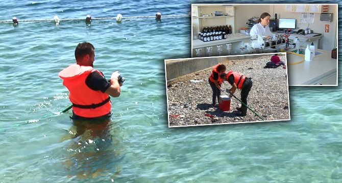 İstanbul'da plajlar temiz mi? Sonuçlar belli oldu