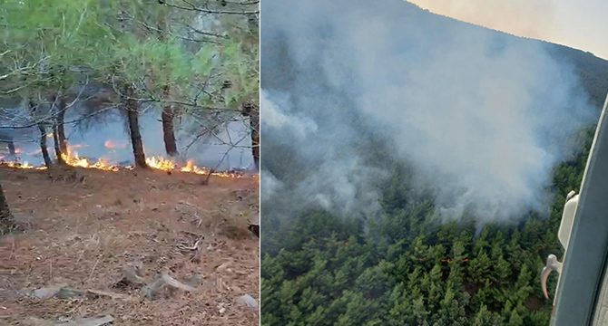 İzmir'de düşen yıldırım, ormanı yaktı