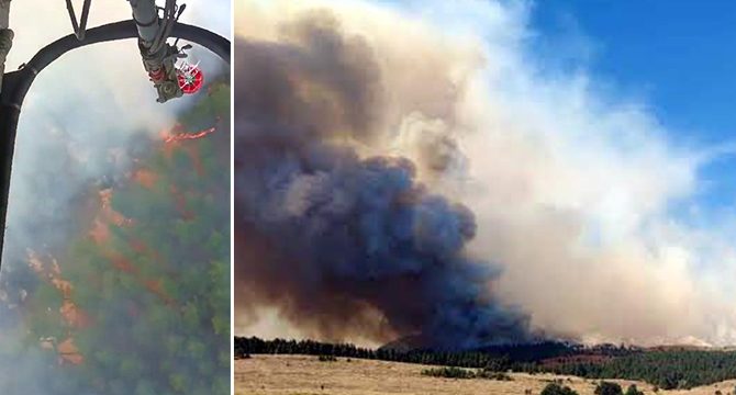Bolu, İzmir ve Adana'da orman yangını