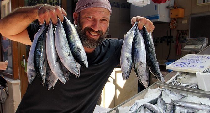 Karadeniz'de palamut ağlara takıldı