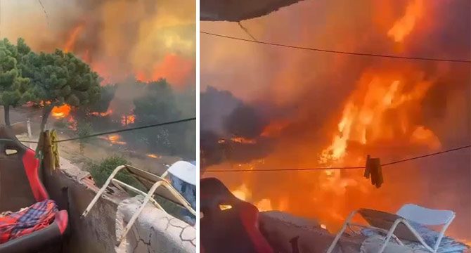 İstanbul'da orman yangını: Alevler evlere yaklaştı