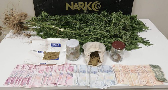 Van'da uyuşturucu operasyonlarına 19 gözaltı