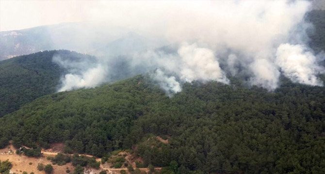 Kazdağları'ndaki orman yangını kontrol altına alındı