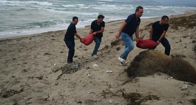 Bursa'da avlanması yasak 5,5 ton kum şırlanı ele geçirildi